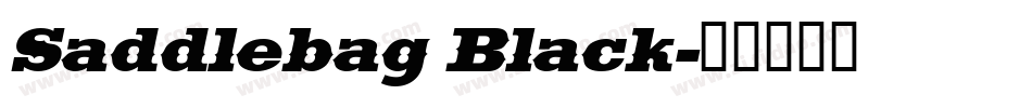 Saddlebag Black字体转换
